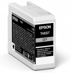 Epson T46S7 Gray Tintenpatrone <span class="itemid">C13T46S700</span>