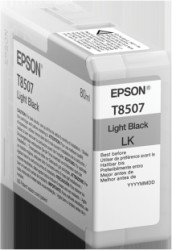 Epson Druckerpatrone light black <span class="itemid">C13T850700</span>